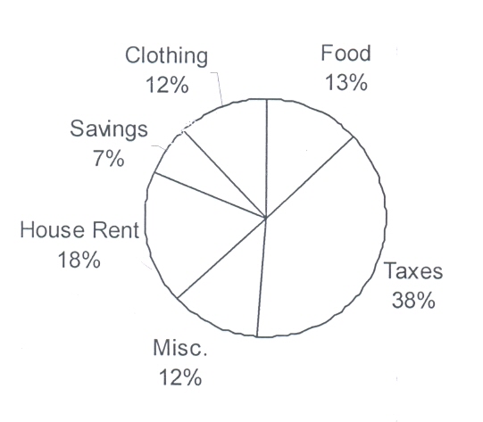 Pie Chart Questions In English